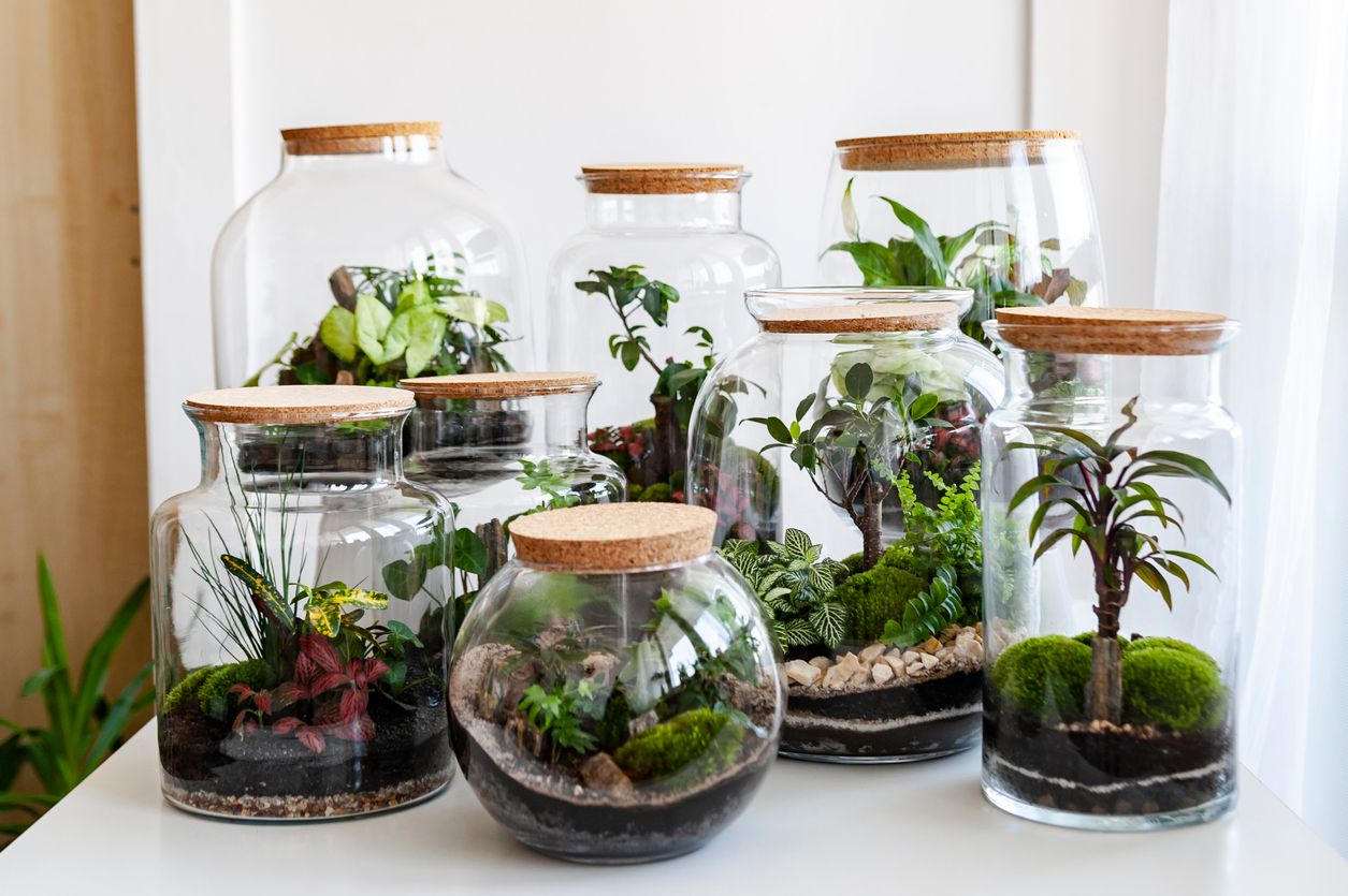 Best Gift Ideas for Plant Lovers (Unique & Cool Gifts for Any Taste)