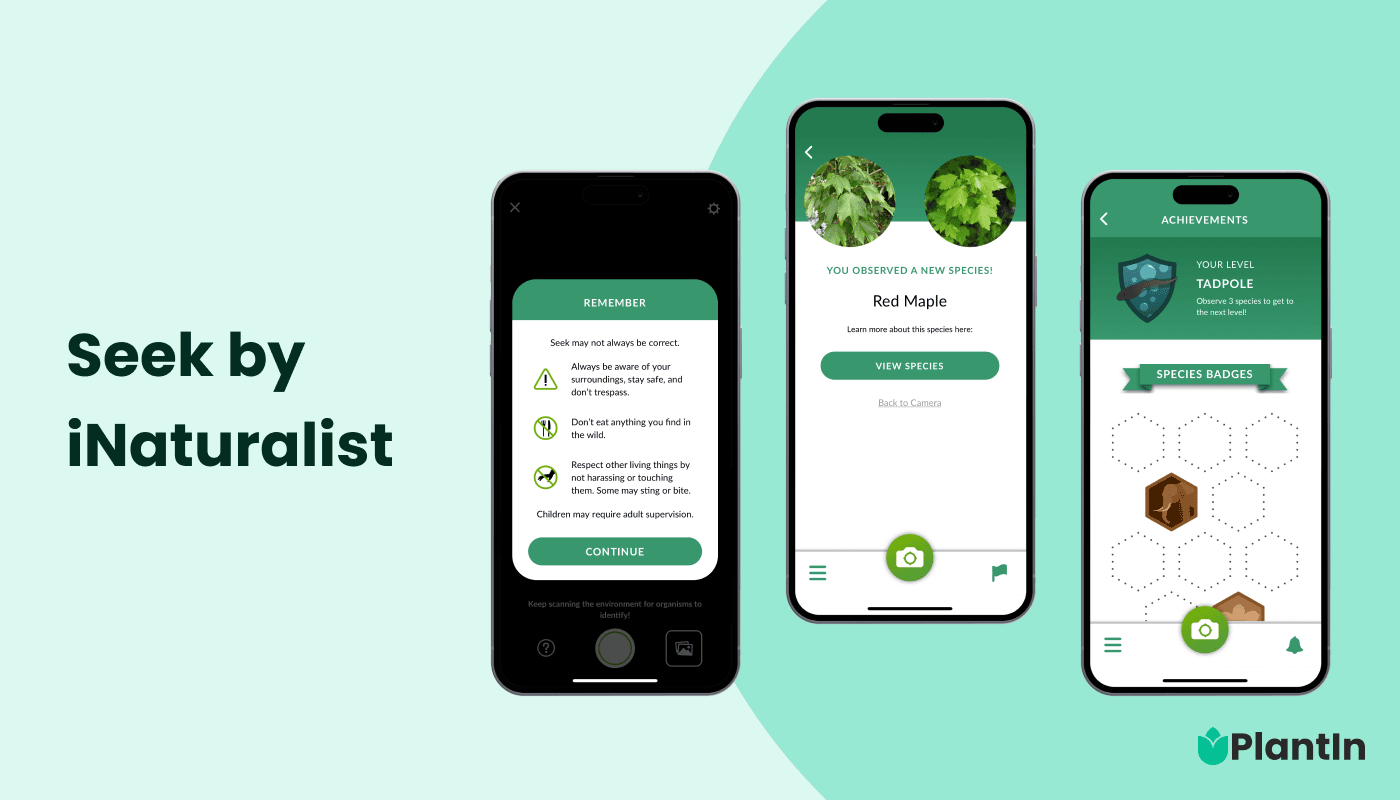 10+ Best AI Apps for iPhone in 2025 - 2026 (App Store Ranking)
