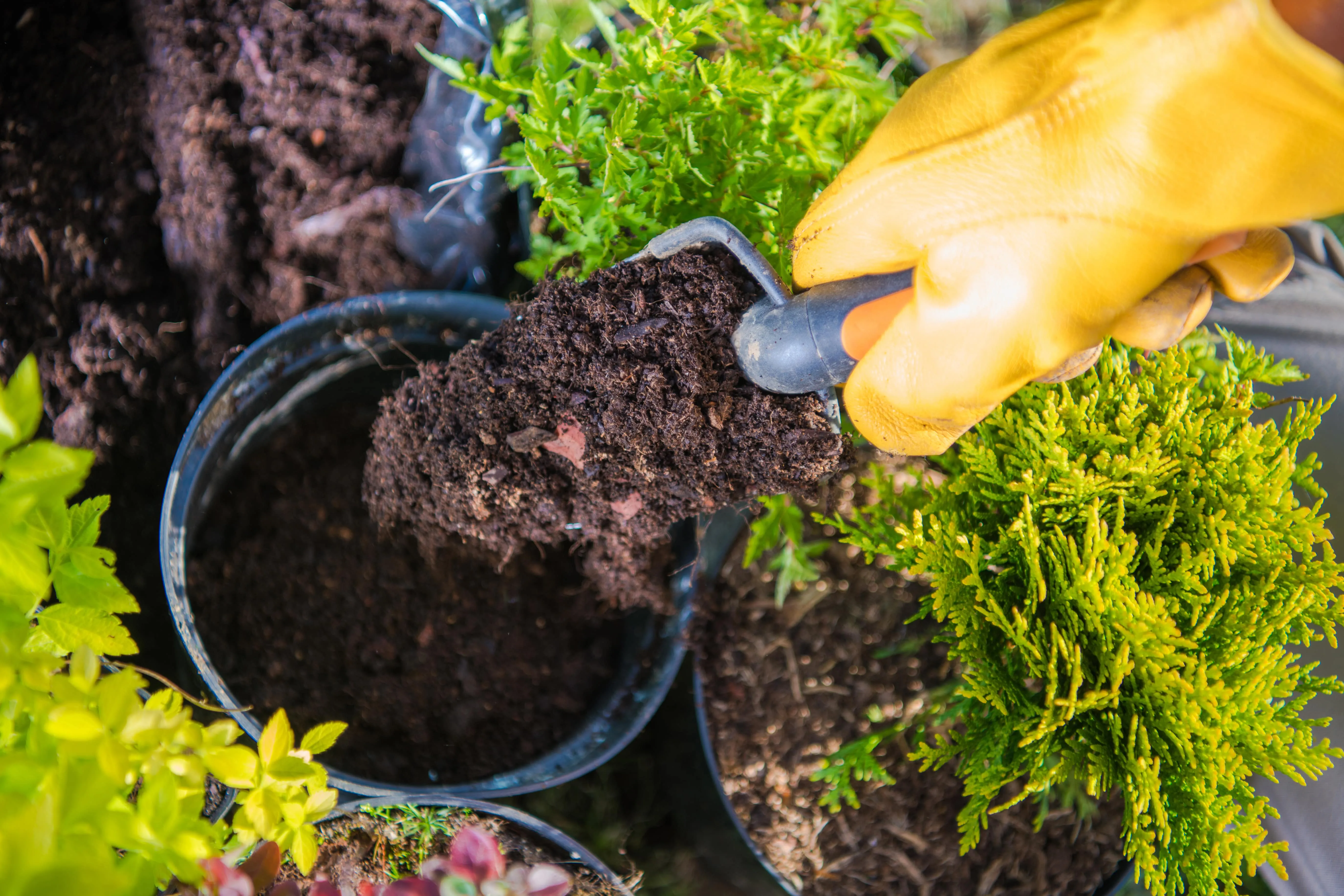 what is the difference between garden and potting soil