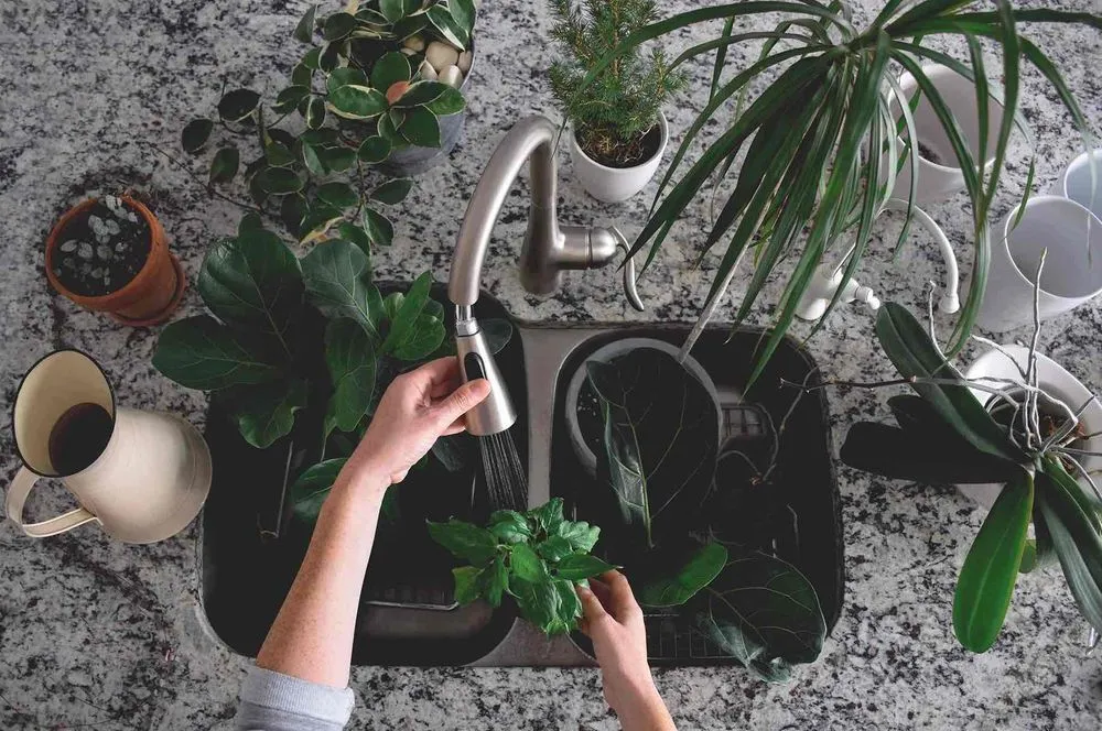 fluval fresh and plant Buy Fluval Plant Pro LED for Fresh & Planted Aquariums Online - Your Local  Fish Store Vancouver