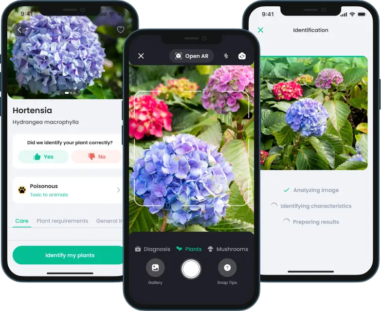 PlantIn App review