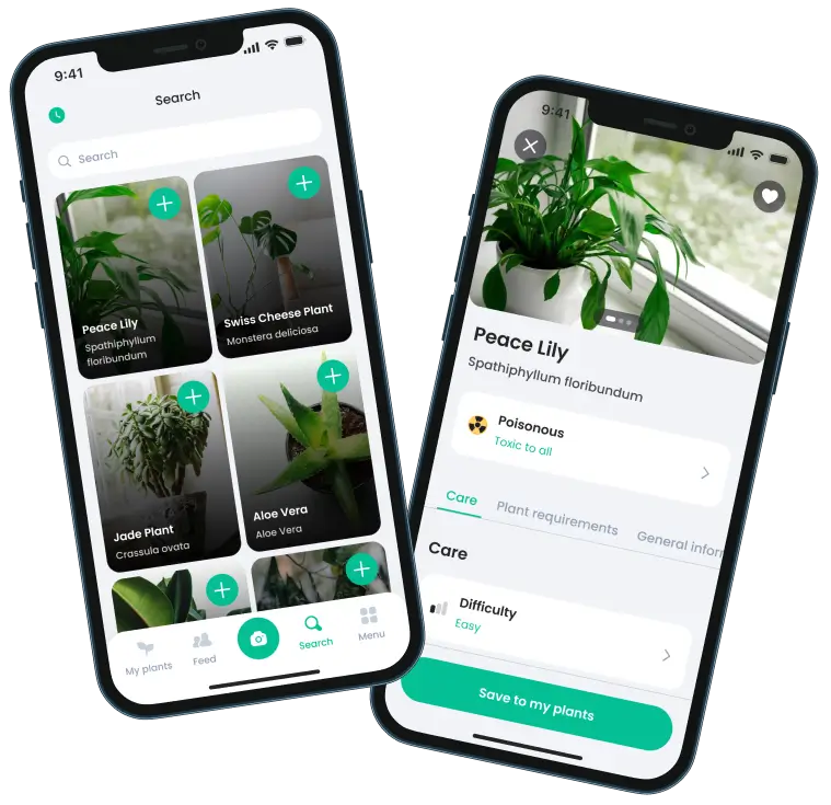 PlantIn App review