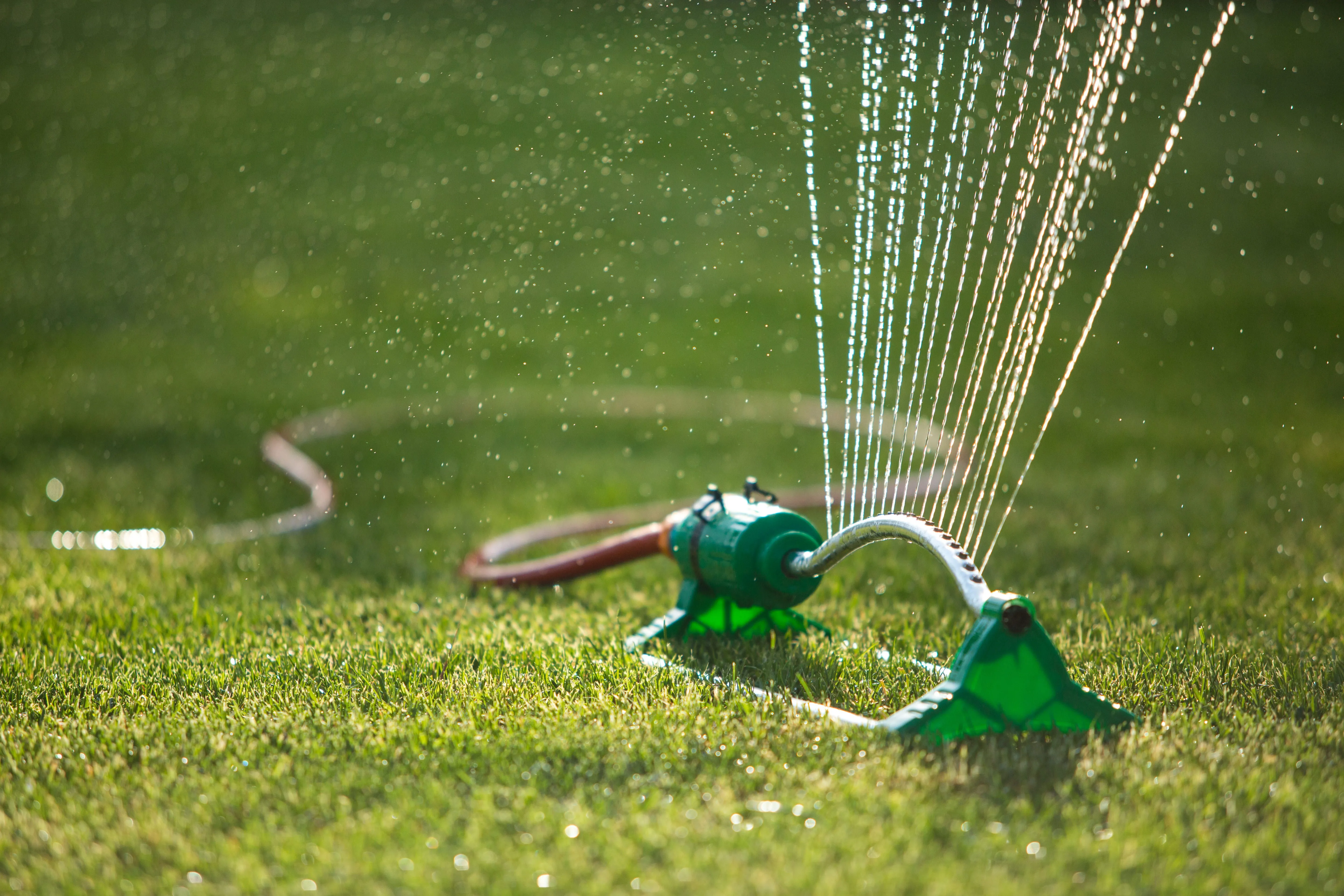 Watering Grass